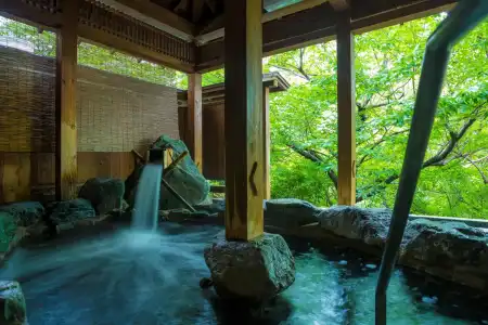 Hanashinsui Ryokan - 14