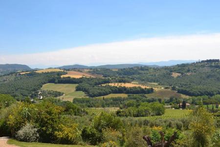 Tenuta Pizzogallo - 17