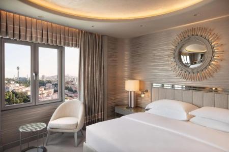 Sheraton Ankara & Convention Center - 6