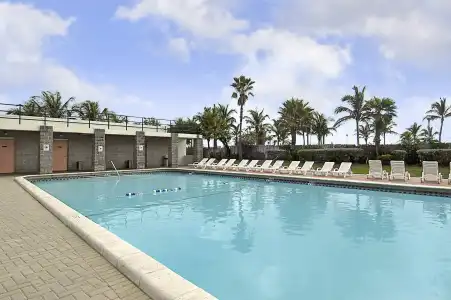 Seagull Miami Beach - 17