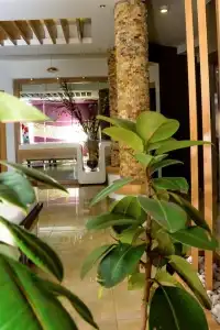 Butik Rafo Otel - 14