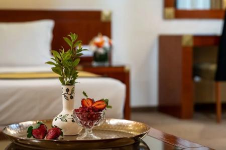 Olive Tree - 54