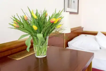 Amedia Siegen, Trademark Collection by Wyndham - 23