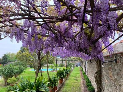 Villa la Preziosa - 17