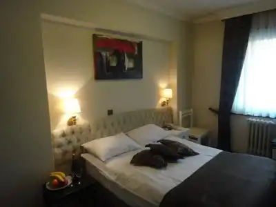 Guleryuz Otel - 5
