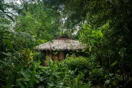 Our Jungle Camp - Eco Resort - 26