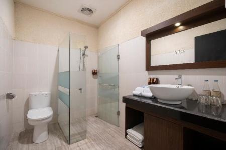 Alpin Resort and Villa Ubud - 53