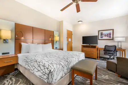 Best Western Plus Silver Saddle Inn - 58