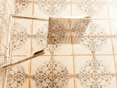 Molí de l'Escala - 18