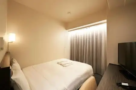 Sotetsu Fresa Inn Ochanomizu Jimbocho - 33
