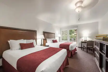Palm Mountain Resort and Spa - 3