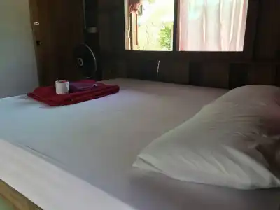 Rasta House - 28