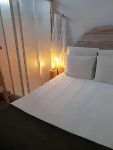 Cactus Host - 6