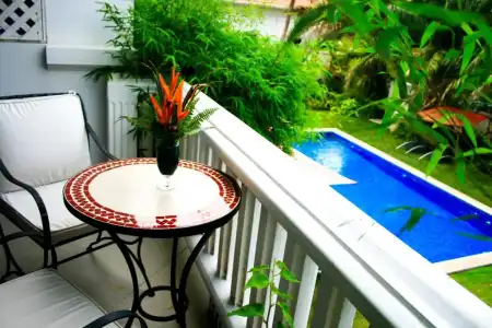 Palm Grove Resort - 39