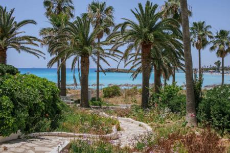 Nissi Beach Resort - 20