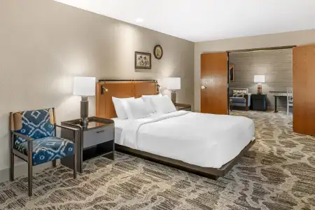 Best Western Plus GranTree Inn - 124