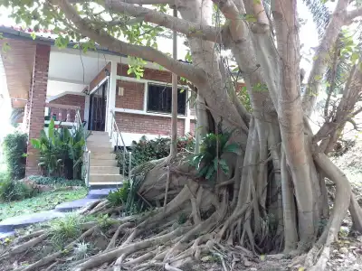 Freedom Estate - 11