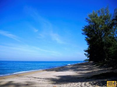 Micky Monkey Beach Phuket Maikhao Thailand - 4