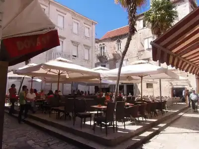 Tragos Lemon Tree - 33