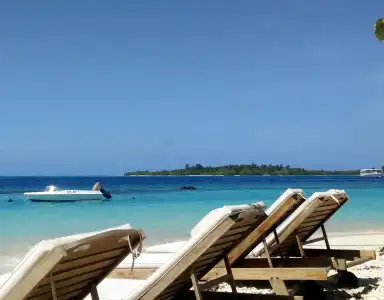 Season Paradise - 25