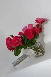 Villa Rosa - 12