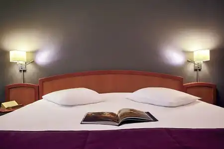 Mercure Metz Centre - 87