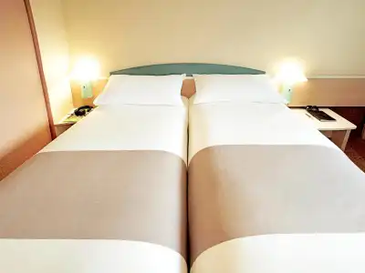ibis Ulm City - 1