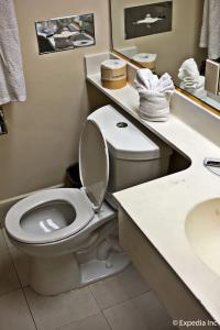 Anaheim Discovery Inn and Suites - 74