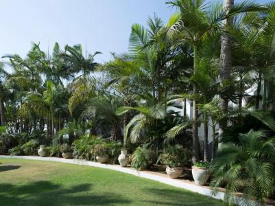 Gai Beach Resort Spa - 15