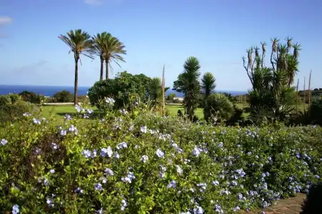 Zubebi Resort - 18
