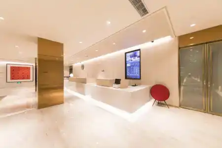 Changshouli Premium - 9