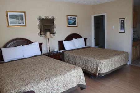 Falcon Inn - 133