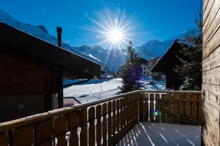 Alpenperle - 29