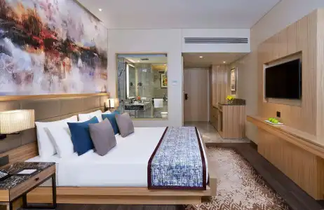 Radisson Mumbai Andheri MIDC - 19