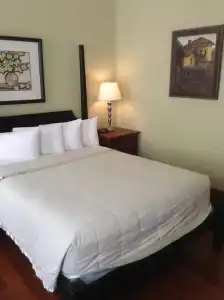 The Queen Anne - 23