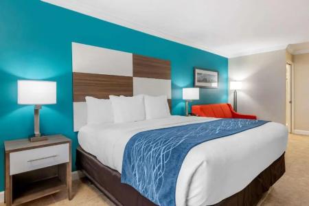 Comfort Inn & Suites Daytona Beach Oceanfront - 13