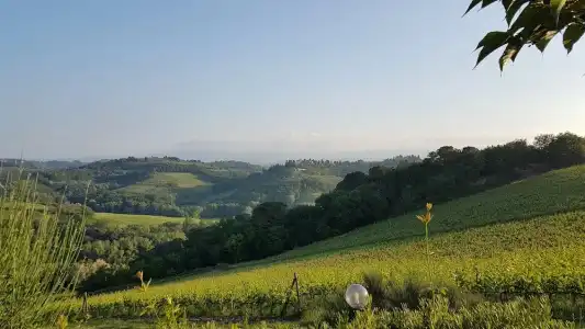Le Fonti a San Giorgio - 55