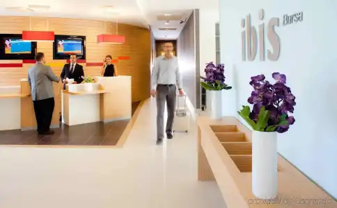 ibis Bursa - 23