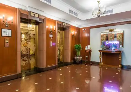 Evergreen Laurel - 21