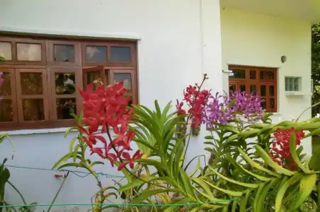 Orchid Sunset Guest House - 20