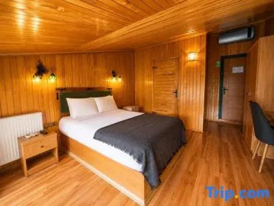 Ayder Doga Resort - 14