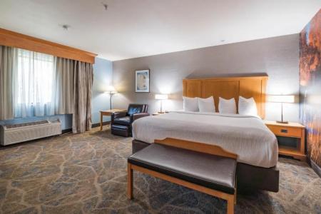 Best Western Plus GranTree Inn - 118