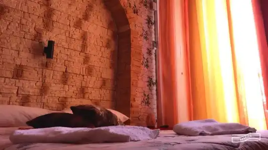 Camelot B&B Palermo - 57