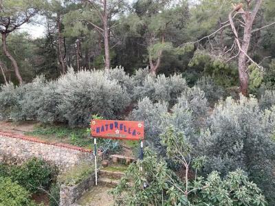 Naturella Apart-Hotel - 138