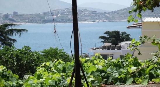 Dolphin Hostel - 16