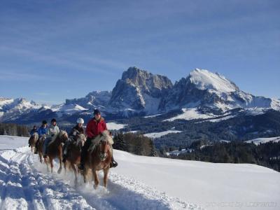 COMO Alpina Dolomites - 29