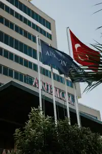 Anemon Kent Mersin - 15
