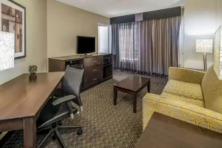La Quinta Inn & Suites by Wyndham Anaheim - 13