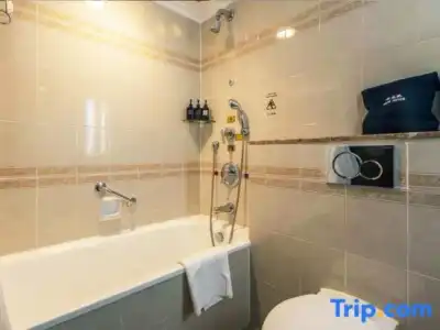 Grand Skylight Royal - 37