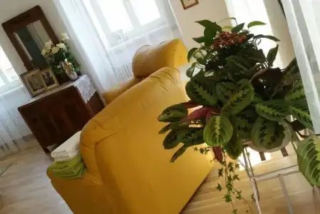 Porporella B&B - 8